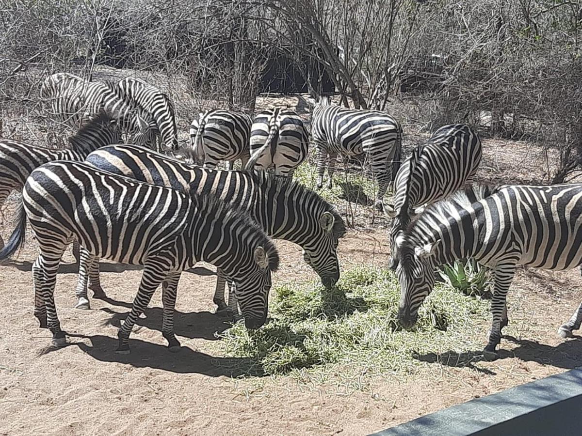 African Bush Escape Marloth Park Esterno foto