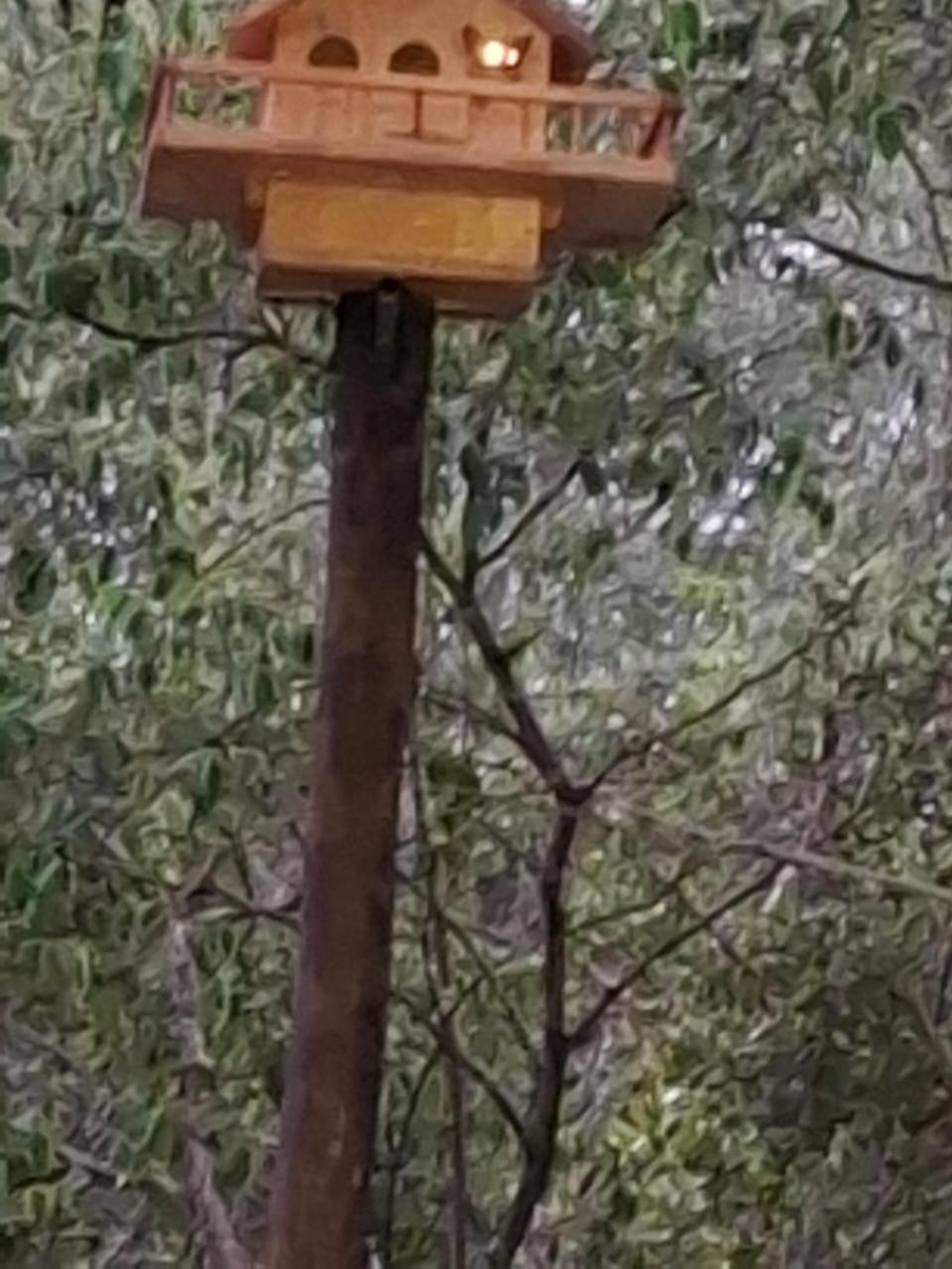African Bush Escape Marloth Park Esterno foto