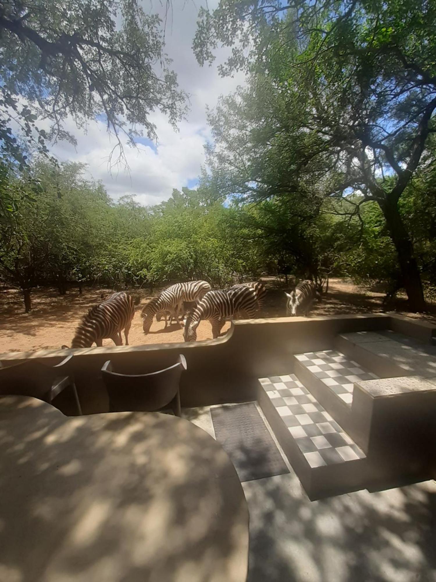 African Bush Escape Marloth Park Esterno foto