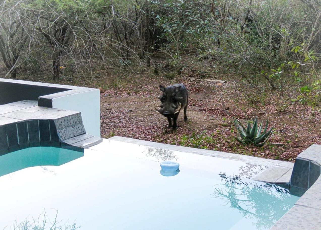 African Bush Escape Marloth Park Esterno foto